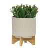 S/2 5/8" PLANTER W/ WOOD STAND, MATTE BEIGE - as Pic